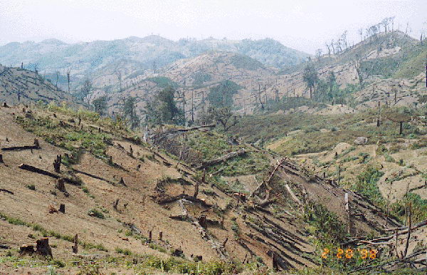 rostliny003v.jpg